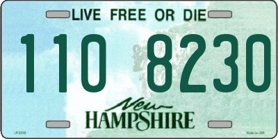 NH license plate 1108230