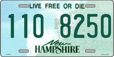 NH license plate 1108250