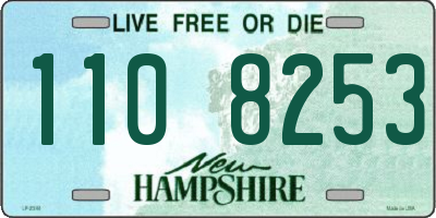 NH license plate 1108253