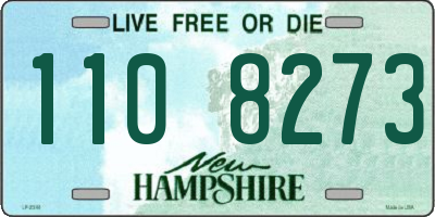 NH license plate 1108273