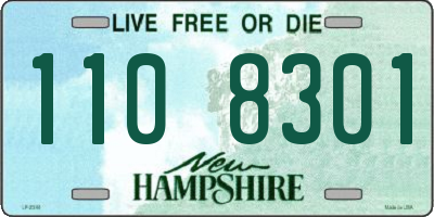 NH license plate 1108301