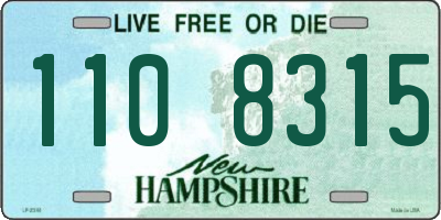 NH license plate 1108315