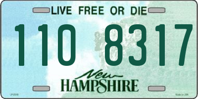 NH license plate 1108317