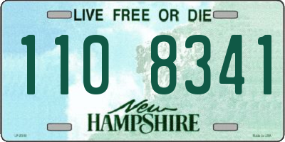 NH license plate 1108341