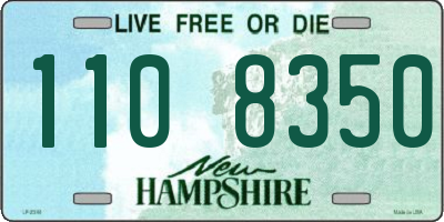 NH license plate 1108350