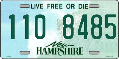NH license plate 1108485