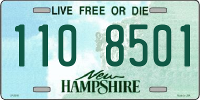 NH license plate 1108501