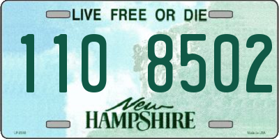 NH license plate 1108502