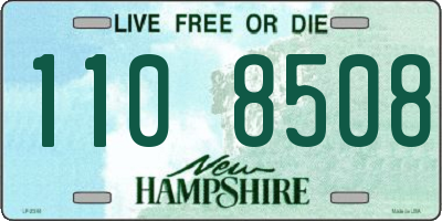 NH license plate 1108508