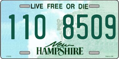 NH license plate 1108509