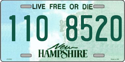 NH license plate 1108520