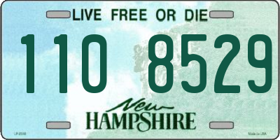 NH license plate 1108529