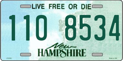 NH license plate 1108534