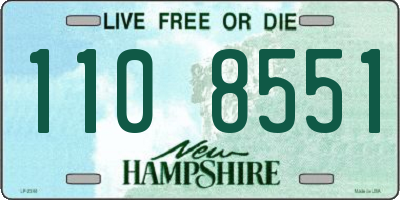 NH license plate 1108551