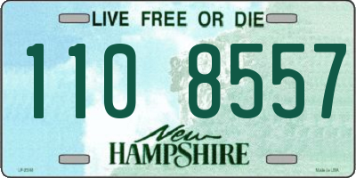 NH license plate 1108557