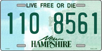 NH license plate 1108561