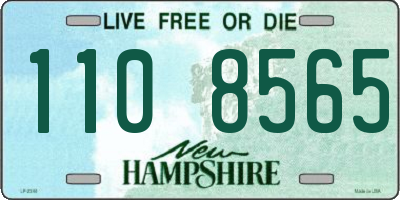 NH license plate 1108565