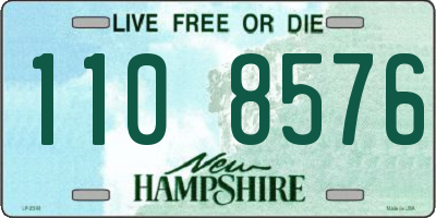 NH license plate 1108576