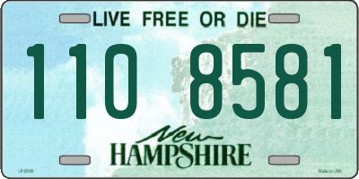 NH license plate 1108581