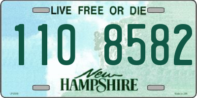 NH license plate 1108582