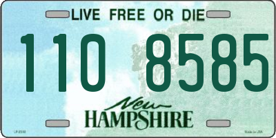 NH license plate 1108585
