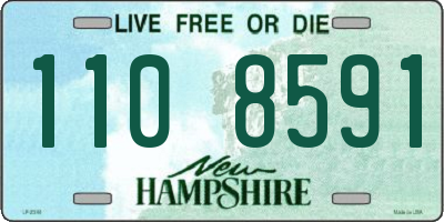NH license plate 1108591