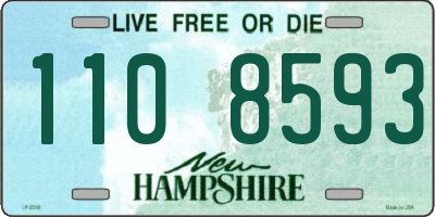 NH license plate 1108593