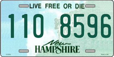 NH license plate 1108596