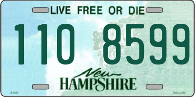 NH license plate 1108599