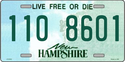 NH license plate 1108601