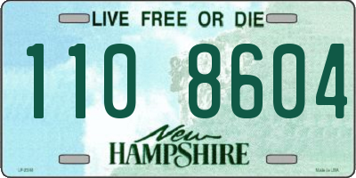 NH license plate 1108604