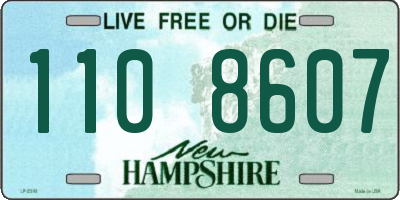 NH license plate 1108607