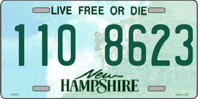 NH license plate 1108623