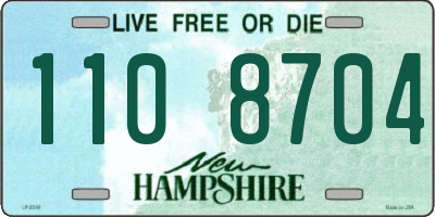 NH license plate 1108704