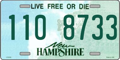 NH license plate 1108733