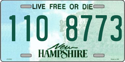 NH license plate 1108773