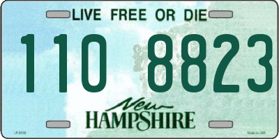 NH license plate 1108823
