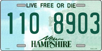 NH license plate 1108903