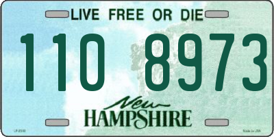 NH license plate 1108973