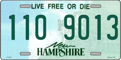 NH license plate 1109013