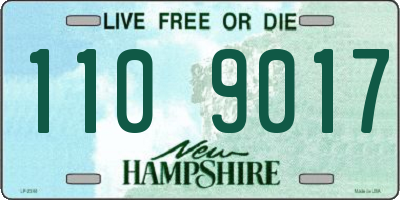 NH license plate 1109017