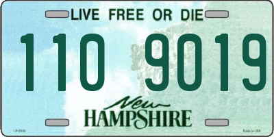 NH license plate 1109019