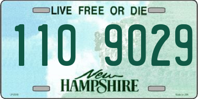 NH license plate 1109029