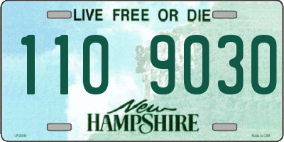 NH license plate 1109030