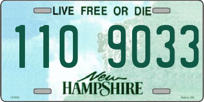 NH license plate 1109033