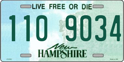 NH license plate 1109034