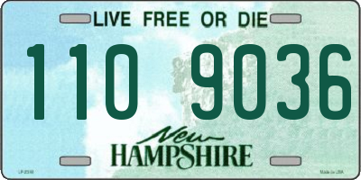 NH license plate 1109036