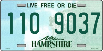 NH license plate 1109037