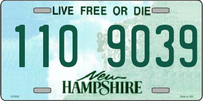 NH license plate 1109039