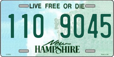 NH license plate 1109045